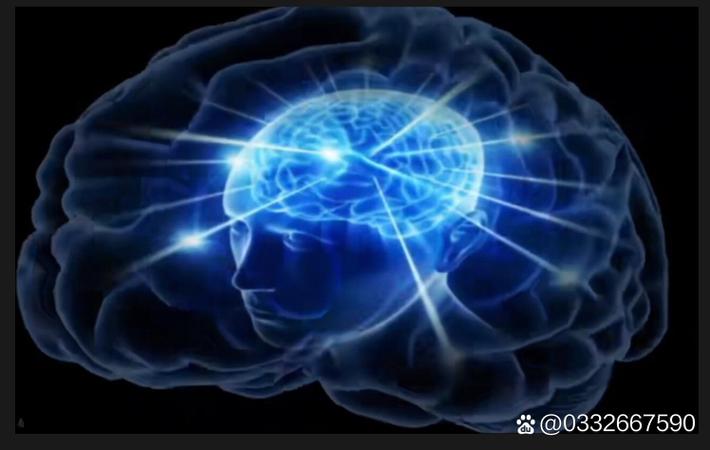 赖斯vs凯塞多：亿元后腰英超首季拦截数据对比，阿森纳切尔西引援效果两极分化